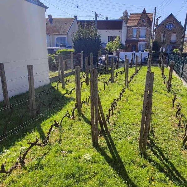 Clos Jouan - Bruno Besson