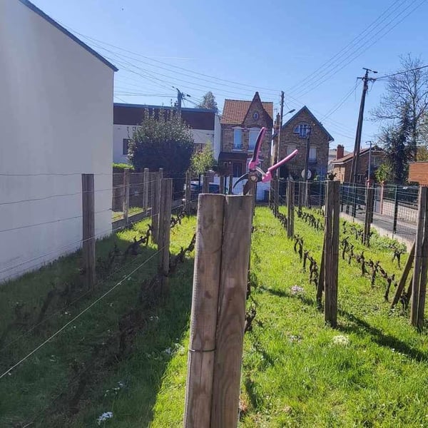 Clos Jouan - Bruno Besson