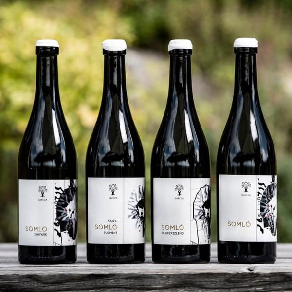 Barcza Winery - Bálint Barcza