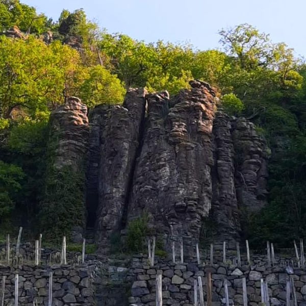 Barcza Winery - Bálint Barcza