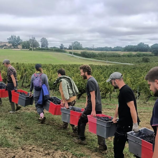 Domaine Plageoles - Bernard, Florent & Romain Plageoles