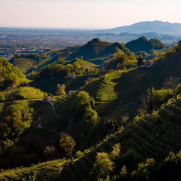 Bruno & Martino Tormena