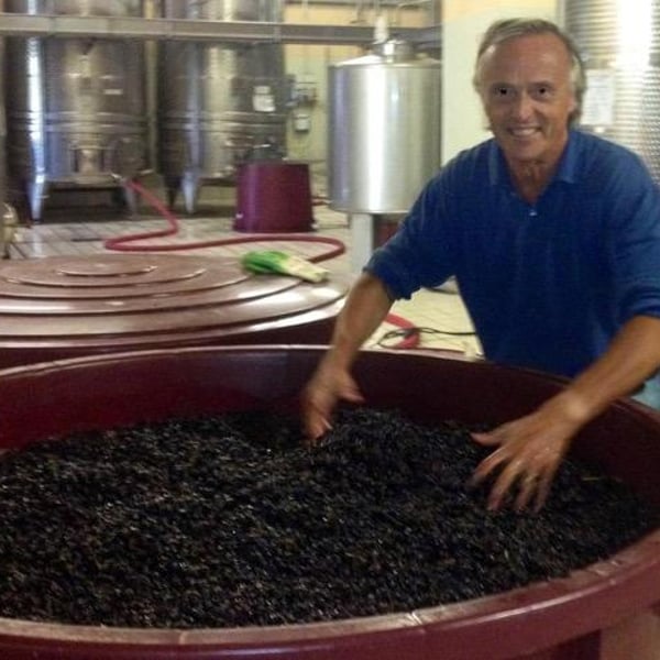 Fabrizio Zanfi