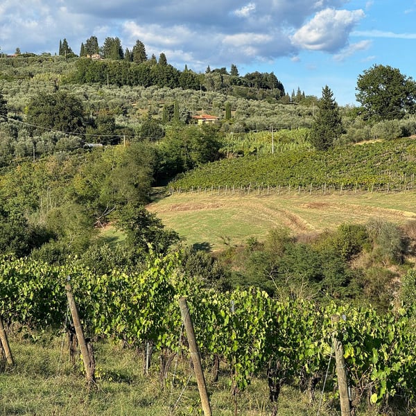 Tinti Chianti - Daniele Tinti