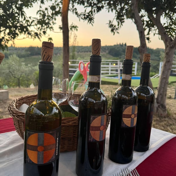 Tinti Chianti - Daniele Tinti