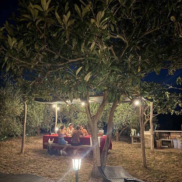 Tinti Chianti - Daniele Tinti