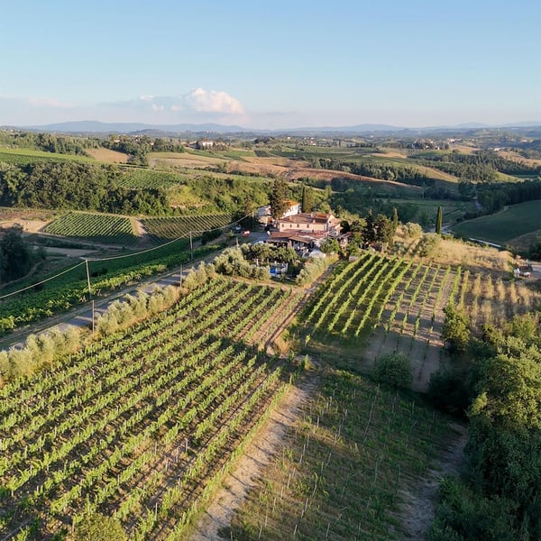Tinti Chianti - Daniele Tinti