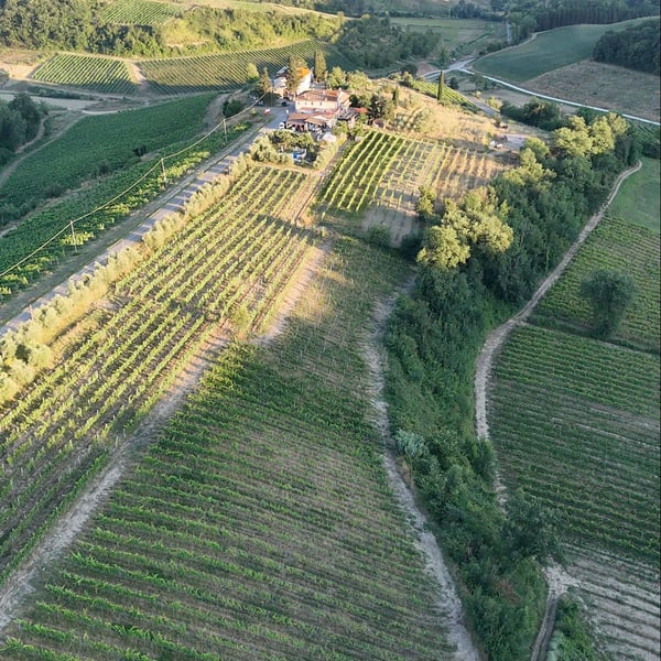 Tinti Chianti - Daniele Tinti
