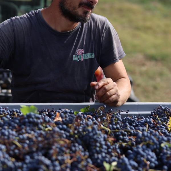 Dario Nocci, Alessandro Bicchi & Matteo Rinaldi