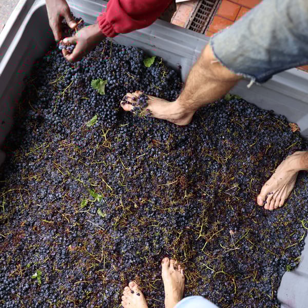 Dario Nocci, Alessandro Bicchi & Matteo Rinaldi