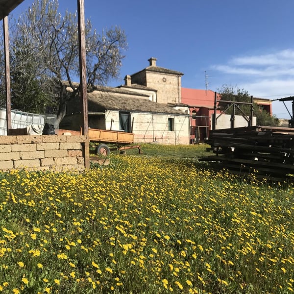 Azienda Agricola Colle San Massimo - Enrico Gallinaro