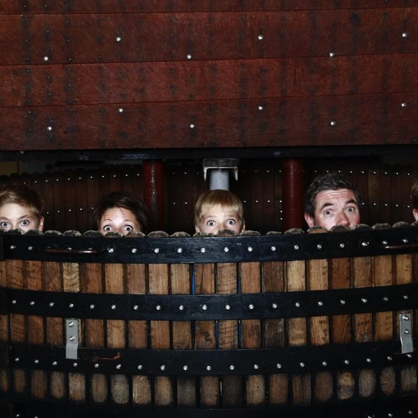 Champagne R. Pouillon & Fils - Fabrice Pouillon
