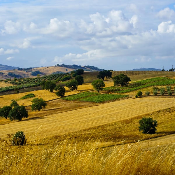 Azienda Agricola Steiger-Kalena - Giulio & Margarita Steiger