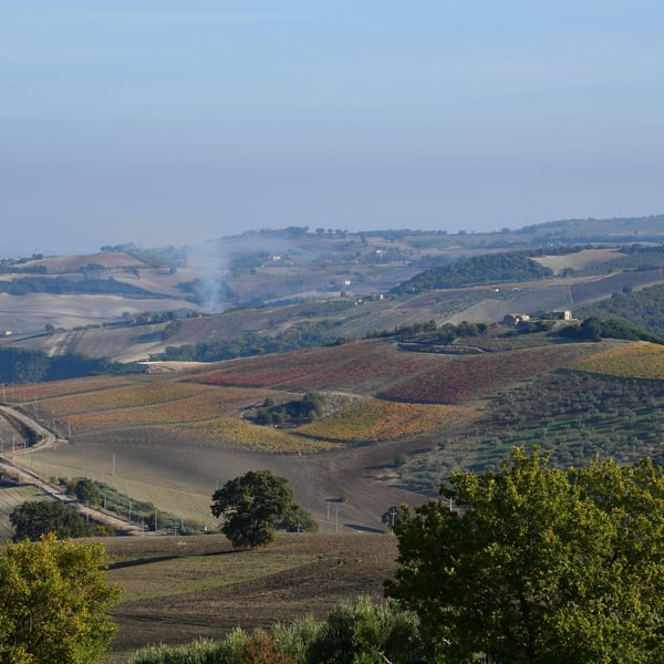 Azienda Agricola Steiger-Kalena - Giulio & Margarita Steiger