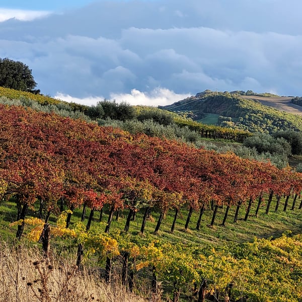 Azienda Agricola Steiger-Kalena - Giulio & Margarita Steiger