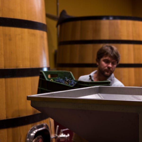 Azienda Agricola Steiger-Kalena - Giulio & Margarita Steiger