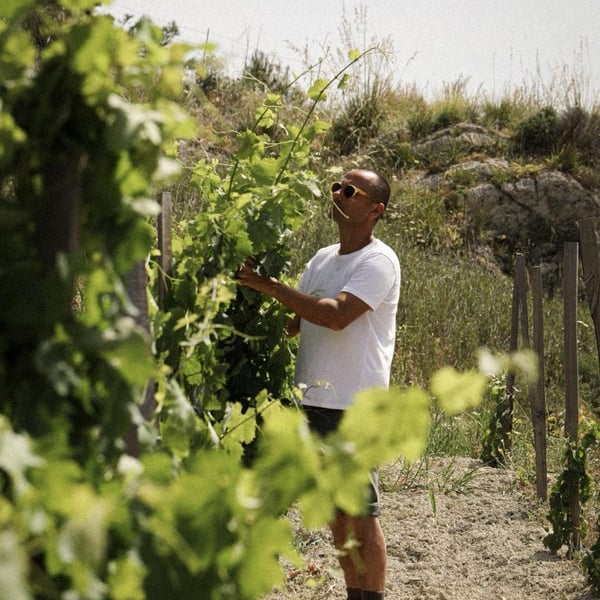 Azienda Agricola Giuseppe Cipolla - Giuseppe Cipolla