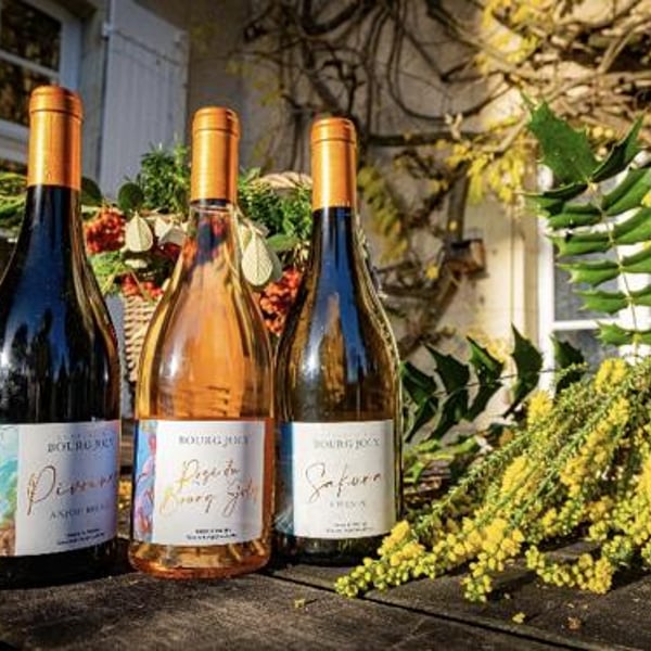 Château du Bourg Joly - Inessa Grouvel Varchavskaia & Menno Grouvel
