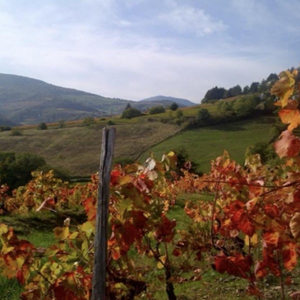 Domaine Croix-Charnay - Iris Mauclert & Vincent Lebègue