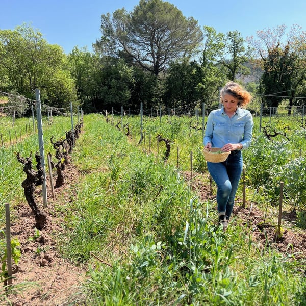 Domaine Croix-Rousse - Jean-Luc & Anne-Marie Husson