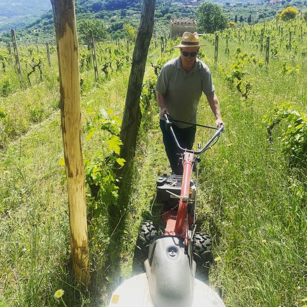 Luca Fabiani