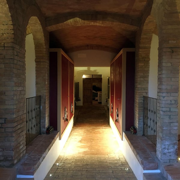 Azienda Agricola Fabiani - Luca Fabiani