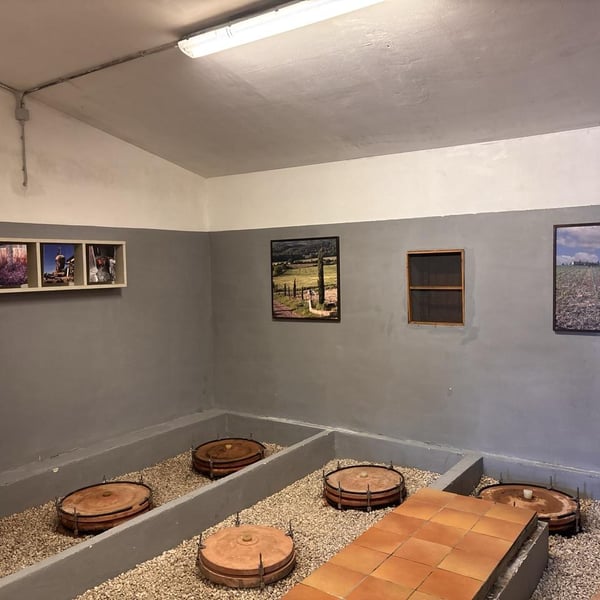 Azienda Agricola Le Verzure - Antonella Villa