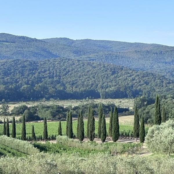 Azienda Agricola Le Verzure - Antonella Villa