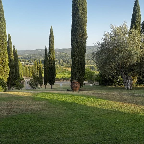 Azienda Agricola Le Verzure - Antonella Villa
