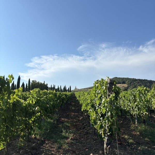 Azienda Agricola Le Verzure - Antonella Villa
