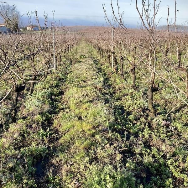 Domaine des Horizons - Martin Joubert