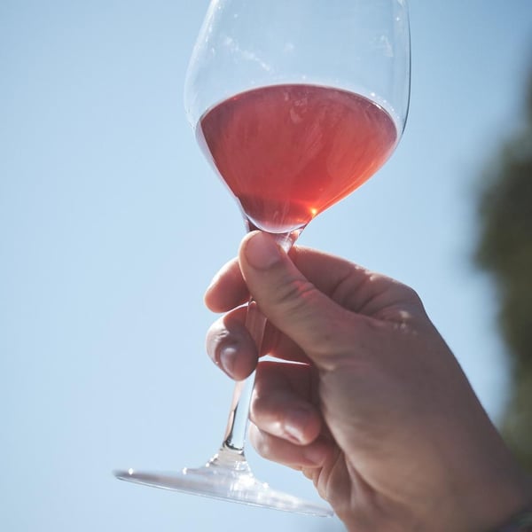 Domaine la Calmette - Maya Sallée & Nicolas Fernandez