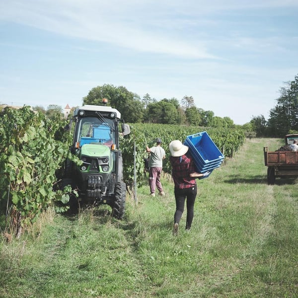 Domaine la Calmette - Maya Sallée & Nicolas Fernandez