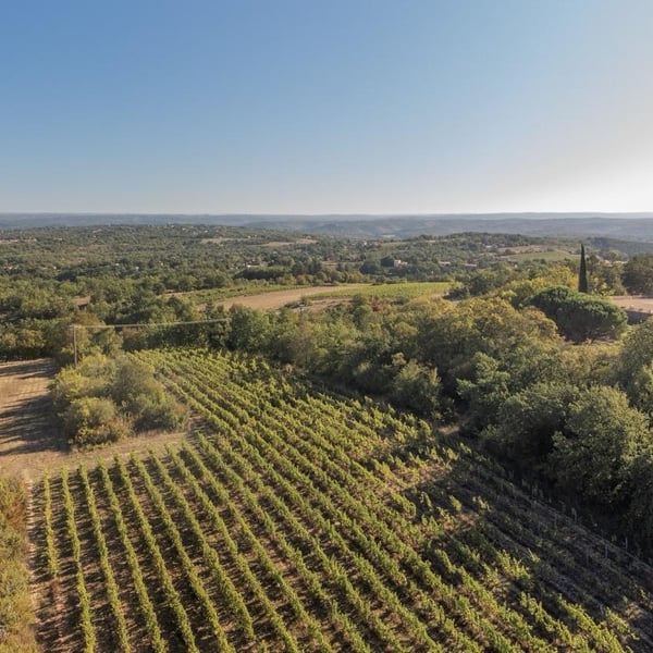 Domaine la Calmette - Maya Sallée & Nicolas Fernandez