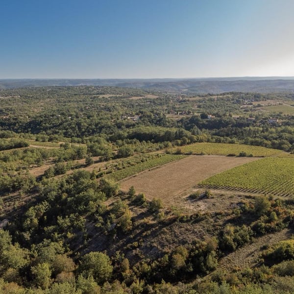 Domaine la Calmette - Maya Sallée & Nicolas Fernandez