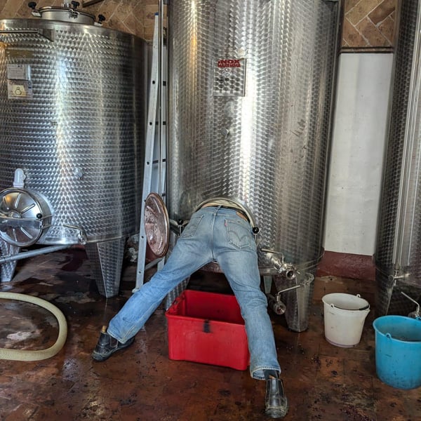 Azienda Agricola Tenuta di Spannocchia - Niccolò Merighi