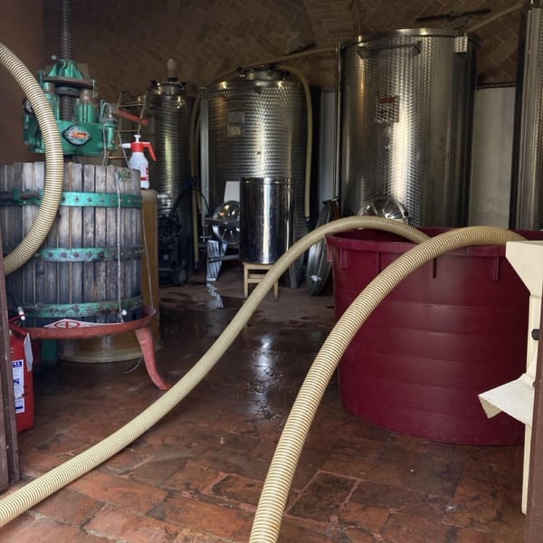 Azienda Agricola Tenuta di Spannocchia - Niccolò Merighi