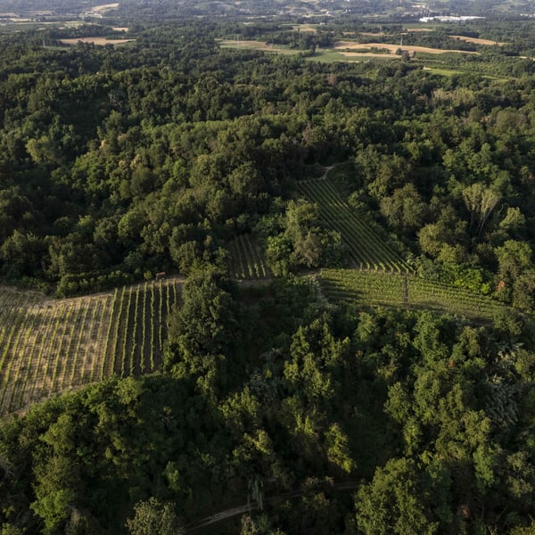 Società Agricola Rabel - Paolo Trucco, Francesco Trucco, Michele Gai & Marco Nicola