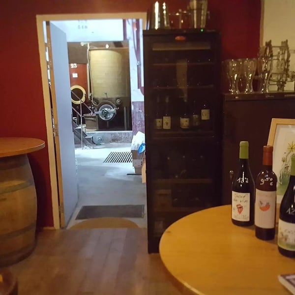 Mon jardin de vignes - Patrick Moderc