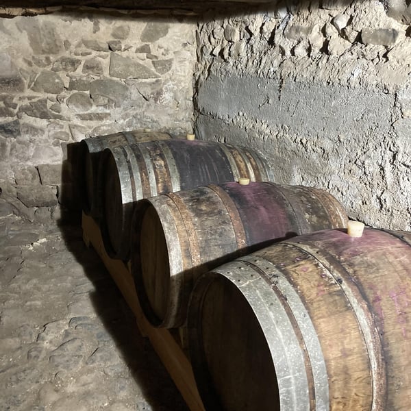 Domaine Phloème - Perrine Quirion et John Guenole