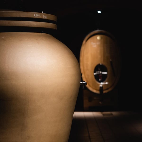 Domaine Frédéric Mabileau - Rémy Mabileau