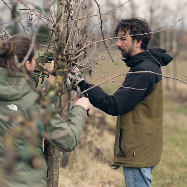 Azienda Agricola Pierasco - Sofia Casarin
