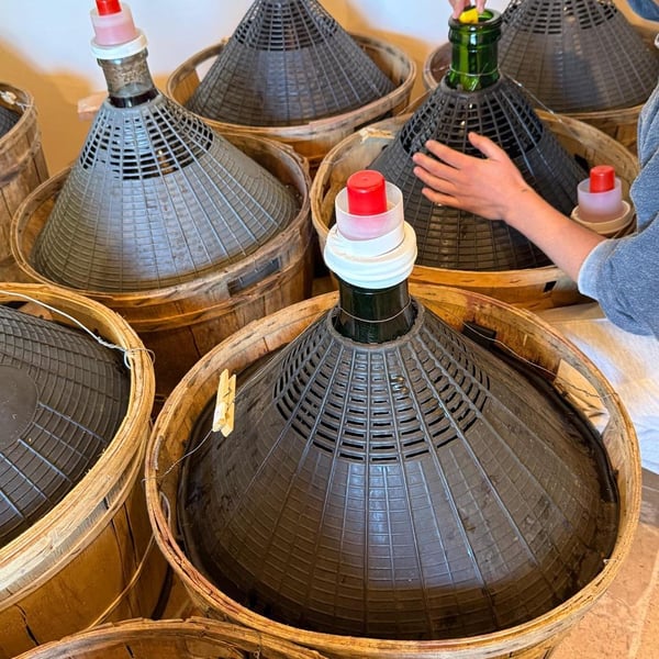 Azienda Agricola Pierasco - Sofia Casarin