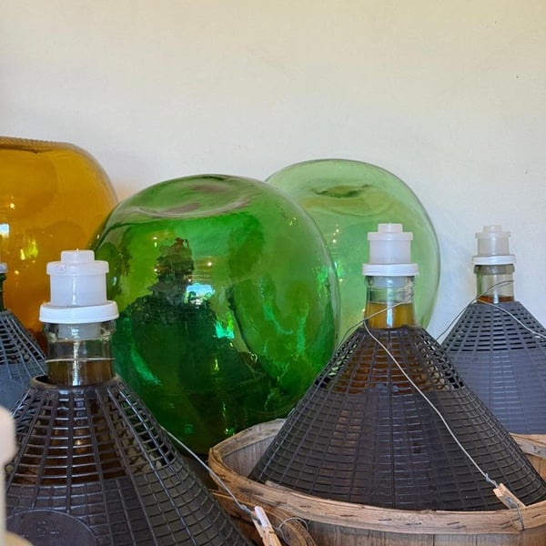 Azienda Agricola Pierasco - Sofia Casarin