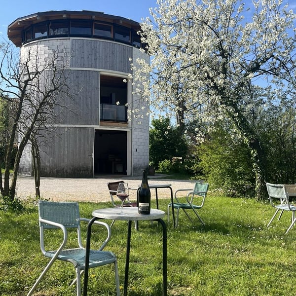 Azienda Agricola Pierasco - Sofia Casarin