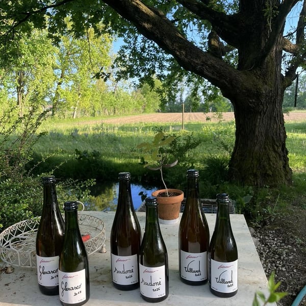 Azienda Agricola Pierasco - Sofia Casarin