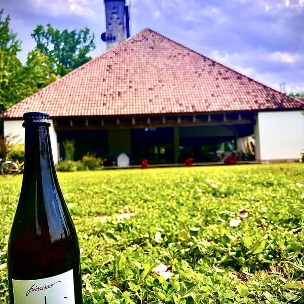 Azienda Agricola Pierasco - Sofia Casarin
