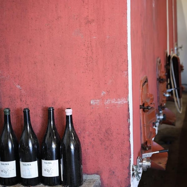 Domaine Valma - Valentine & Stéphane Mathieu