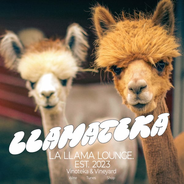 La Llama Lounge 771441
