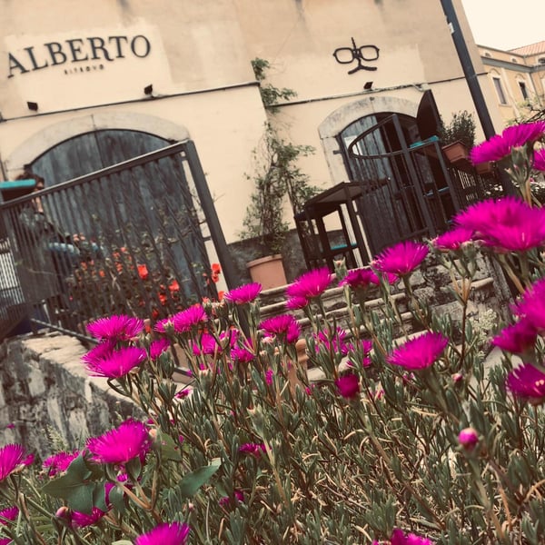 Alberto Ritrovo 810007